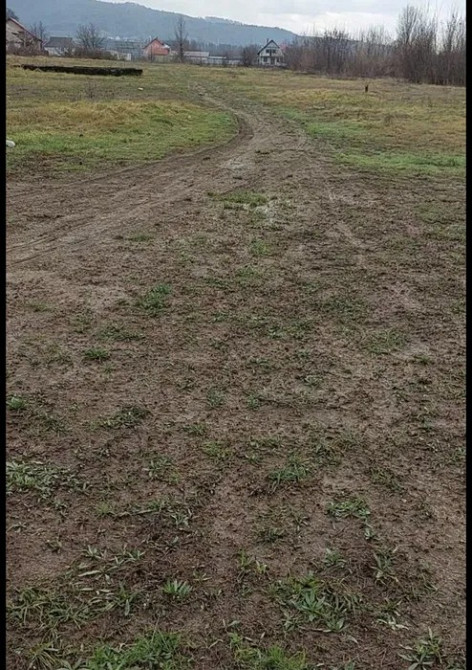 Продається земельна ділянка в с. Терново, Тячівський район Тячів - зображення 1