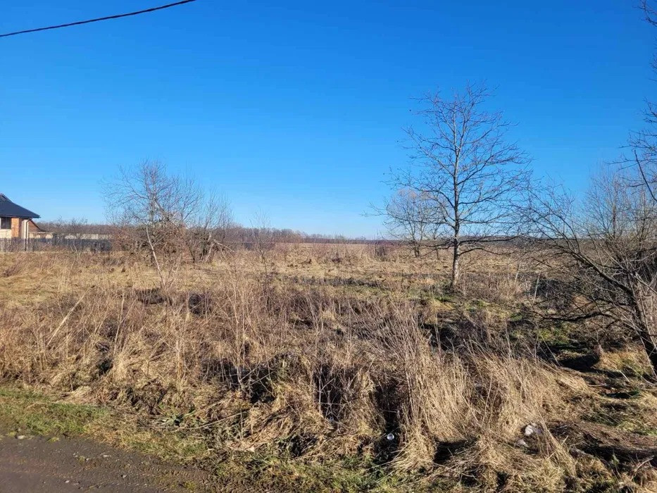 Продаж земельної ділянки Станків Стрий - зображення 3