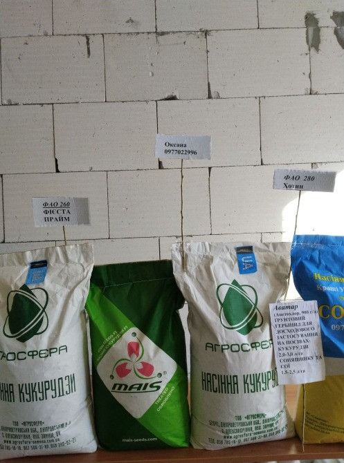 продам насіння кукурудзи Хотин, Хортиця, Прайм, Фієста, Рам -1023 Дніпро - зображення 1
