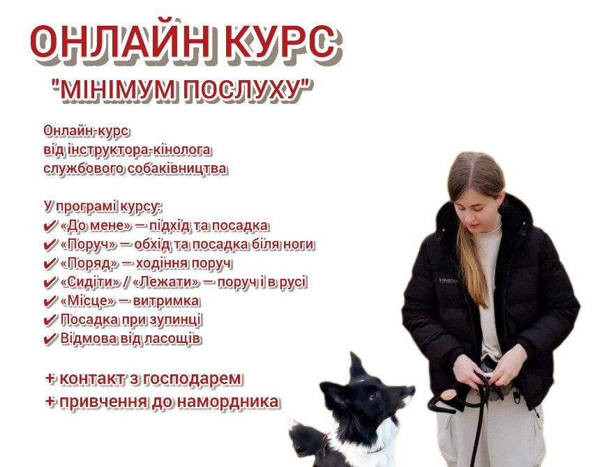 Дресирування собак Київ - зображення 1