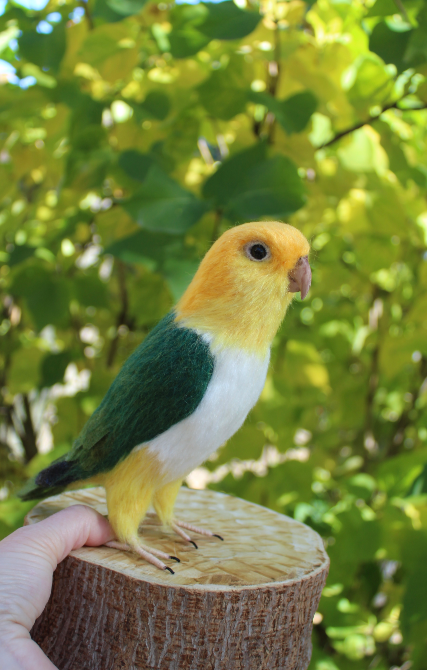 Попугай Каик іграшка валяна з шерсті войлочний папуга ручної роботи п Одеса - зображення 6