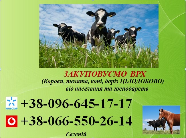 Закупівля Врх Кропивницький - зображення 1