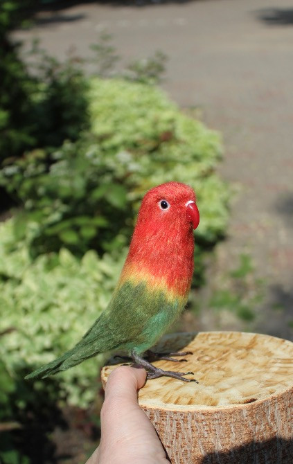 Неразлучник попугай валяна іграшка з шерсті папуга інтерєрєрна игрушка Одеса - зображення 7