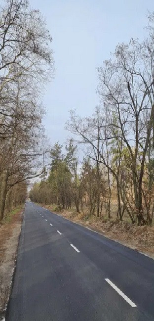 Ділянка біля Дніпра в котеджному містечку "Riviera Club” Черкассы - изображение 3