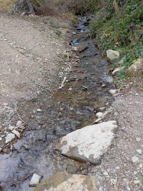 Продається земельна ділянка село Ялинкувате Стрий - зображення 2