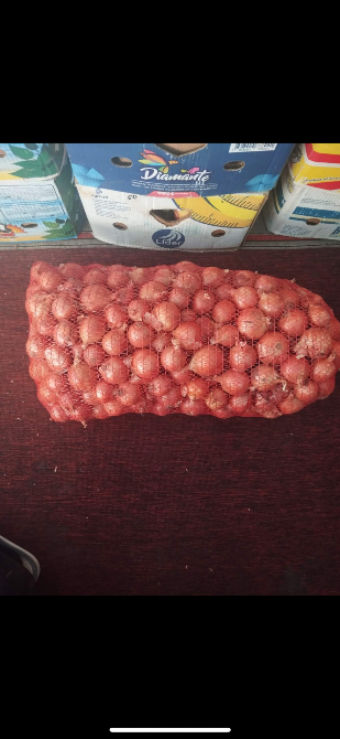 Продам цибулю Київ - зображення 2