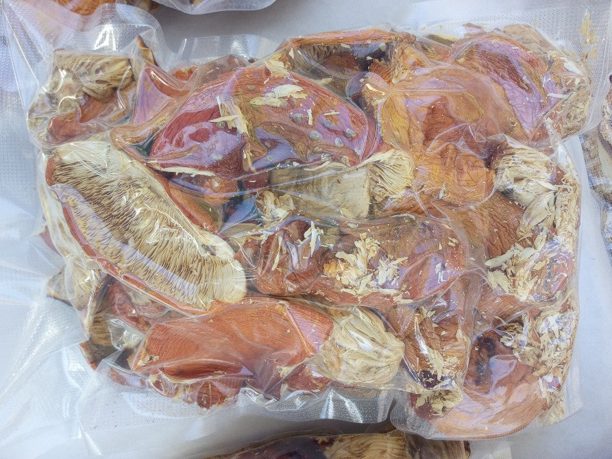 Мухомор червоний 2024 Черкаси - зображення 4