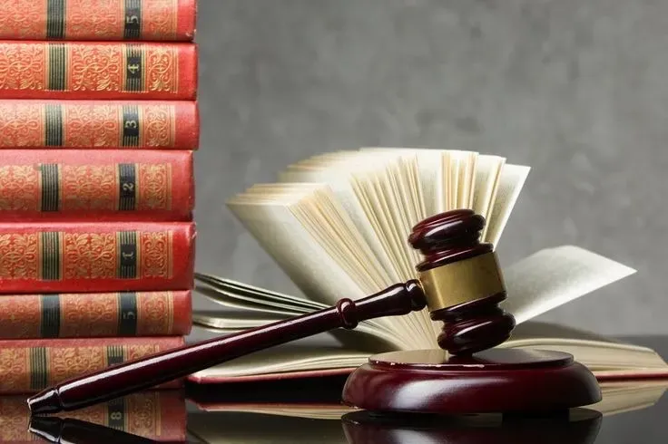 Адвокат Київ Оболонь спори по дітям Оболонський районний суд Київ - зображення 3