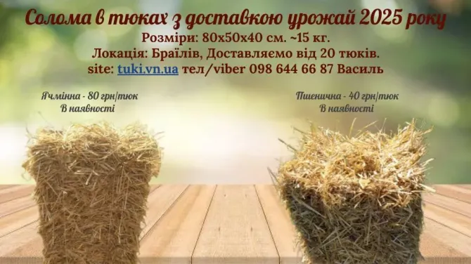 Солома та сіно в тюках урожай 2025 року, Вінницька обл Жмеринка - зображення 2