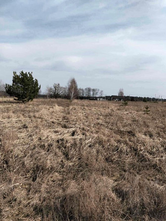 Земельна ділянка Любимівка (Буча Київ - зображення 2