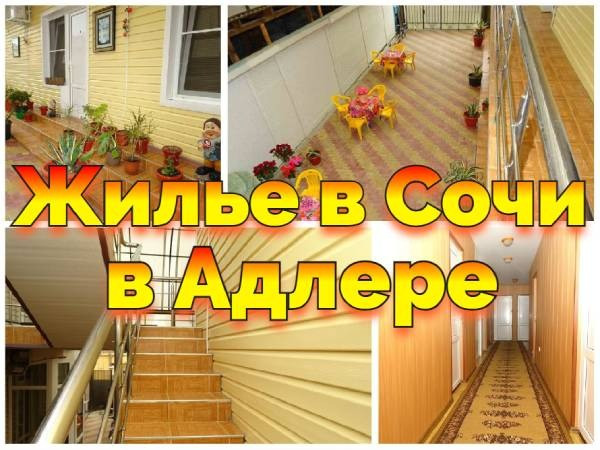 Жилье Сочи без посредников Адлер Сириус +79184084389 Донецк - изображение 1