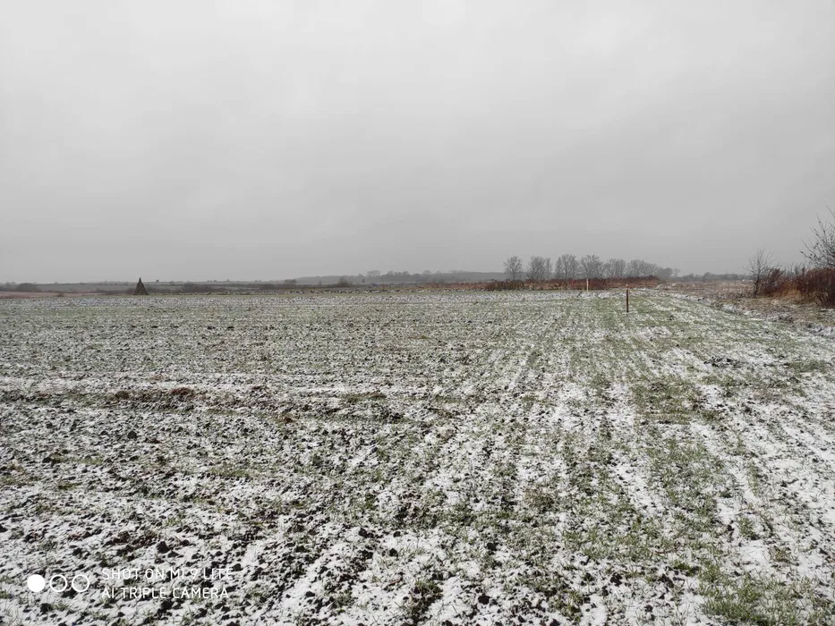 Продаж земельної ділянки Осг , площа 180 соток Городок - изображение 2