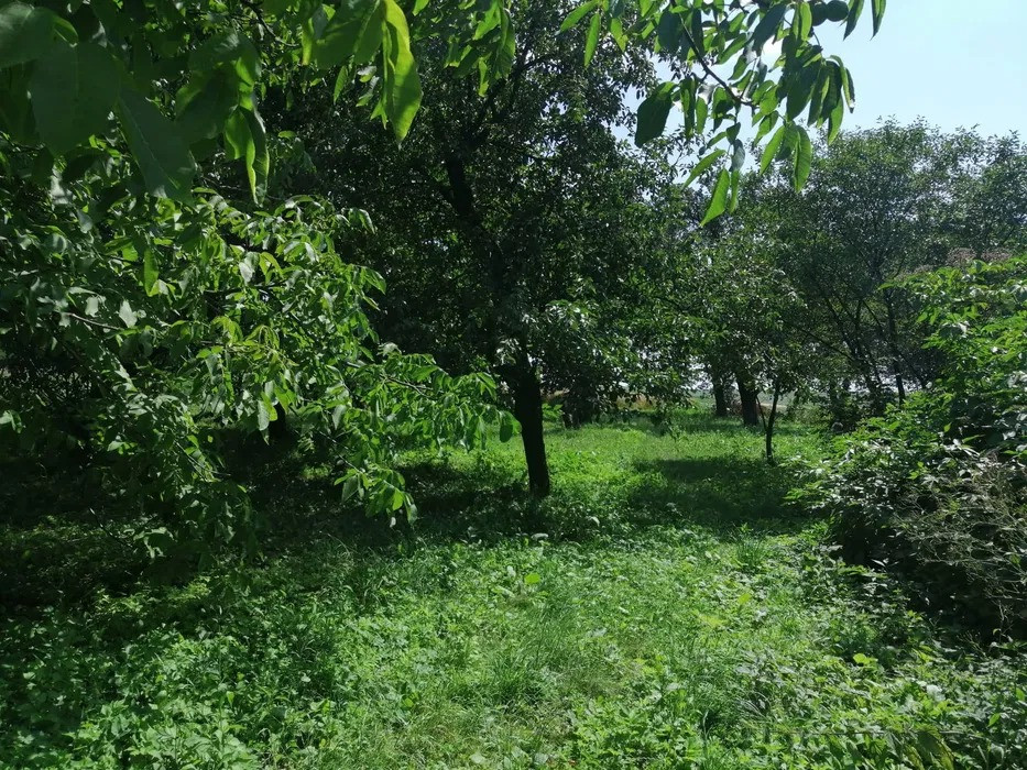 Продається будинок у мальовничому селі Грусятичі Жидачів - зображення 8