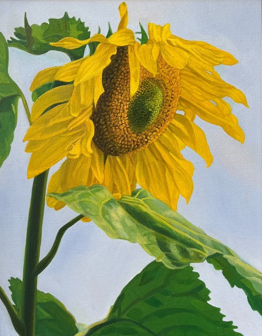 Професійні і оригінальні картини «Соняшники» Львів - зображення 3