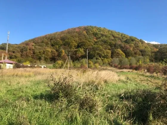 Земельна ділянка 10 сот в смт Чинадієво Мукачево