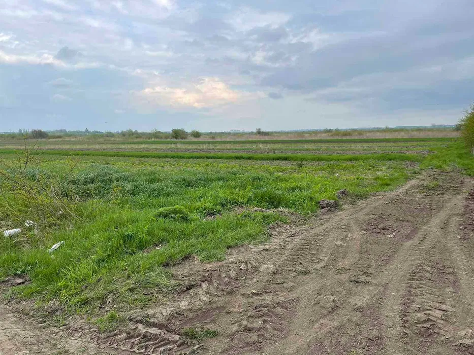 Продається земельна ділянка 20 сот.Городоцька Отг Городок - изображение 5